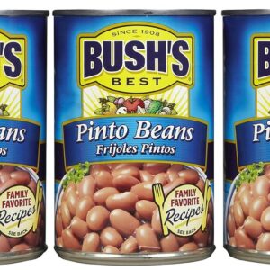 Bush's Best Pinto Beans - 16oz