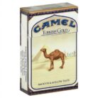 camel-turkish-gold-new
